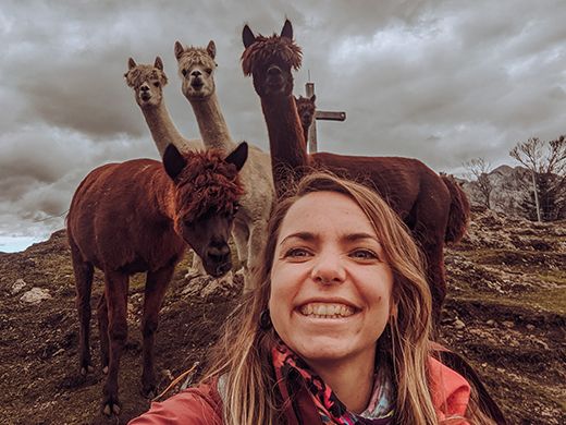 Alpaka Selfie Alpaka Wanderung Weinbergerhaus Kaiserlift Kaisergebirge