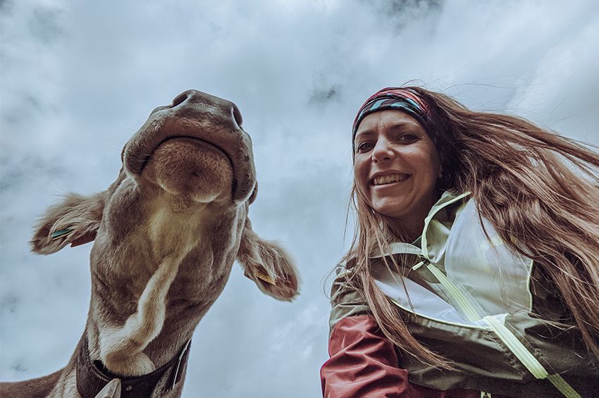 Abenteuer, Mikroabenteuer, Kuhselfie, Tirol