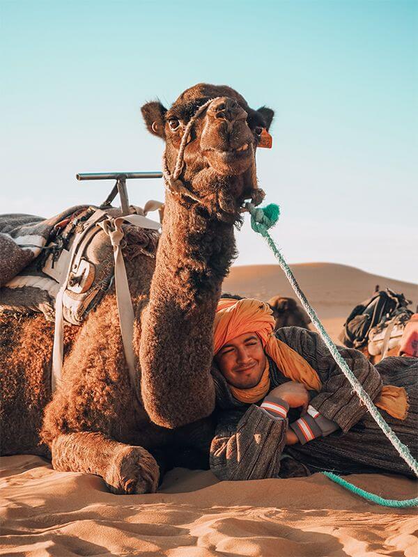 tanjaventuras_menschen_marokko_kamel_wueste marokko sahara wueste kamele mittagsschlaf