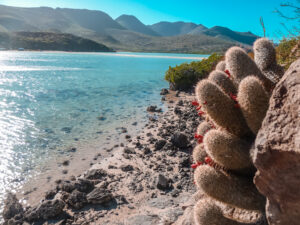 tanjaventuras_destinationen_mexiko_baja_california_espiritu_santo Insel Espiritu Santo, Baja California, Mexiko
