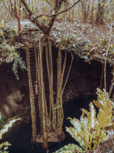 tanjaventuras_destinationen_mexiko_cenote private und versteckte cenote im Urwald bei Valladolid
